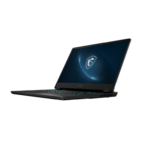 MSI Gaming GP66 12UGS-249ES Vector Portátil 39,6 cm (15.6") Quad HD Intel® Core™ i7 32 GB DDR4-SDRAM 1000 GB SSD NVIDIA GeForce RTX 3070 Ti Wi-Fi 6E (802.11ax) Windows 11 Home Negro