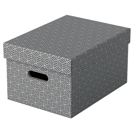 PACK 3 CAJAS GRISES 365X265X205MM ESSELTE 628283