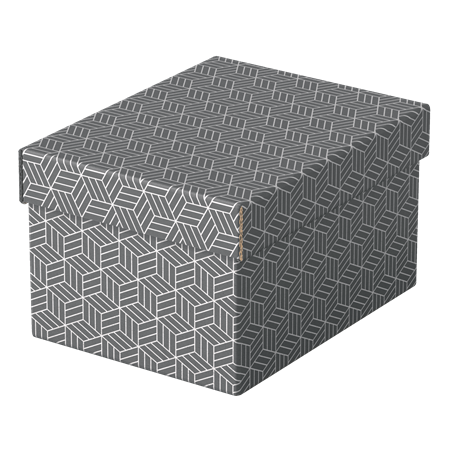 PACK 3 CAJAS GRISES 255X200X150MM ESSELTE 628281