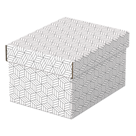 PACK 3 CAJAS BLANCAS 255X200X150MM ESSELTE 628280
