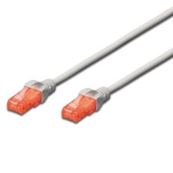 Ewent EW-6U-100 cable de red Gris 10 m Cat6 U/UTP (UTP)