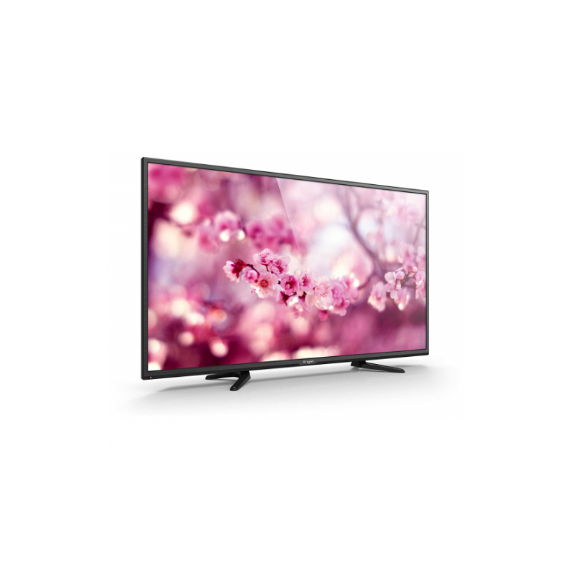 ENGEL TV LED 40"- TDT2/SATELITE  - FHD - USB PVR- OCA-MODO HOTEL
