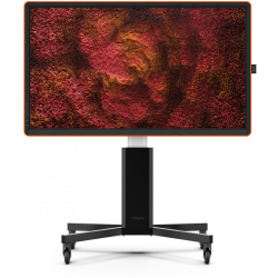 CTOUCH CANVAS 65" REGAL ORANGE INGLASS OPTICALLY BONDED TOUCH, NO-OS TOUCH DISPLAY, INTERACTIVE CANVAS FRAME 10052565 (DEMO PURPOSES MAX. 1 UNIT PER CUSTOMER)