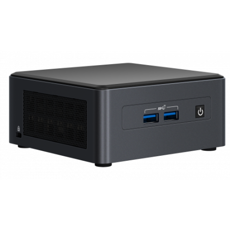 Intel NUC 11 Pro UCFF Negro i7-1165G7