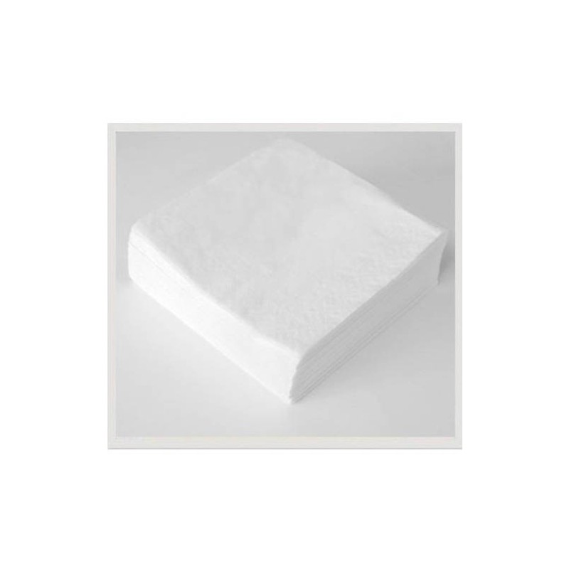 PAQUETE 100 SERVILLETAS 2 CAPAS TISOFT CE538