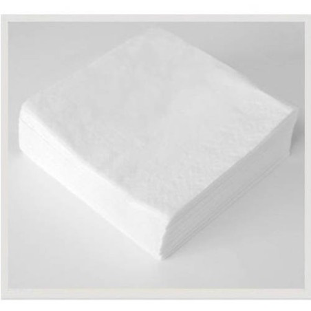 PAQUETE 100 SERVILLETAS 2 CAPAS TISOFT CE538