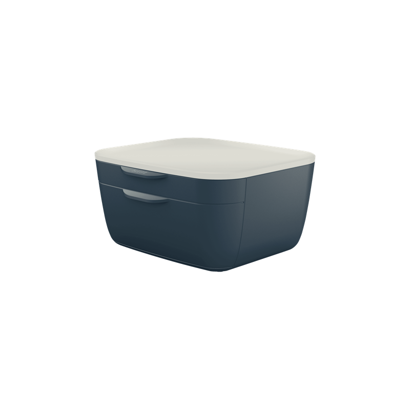 BUC CAJONES COSY GRIS LEITZ 53570089