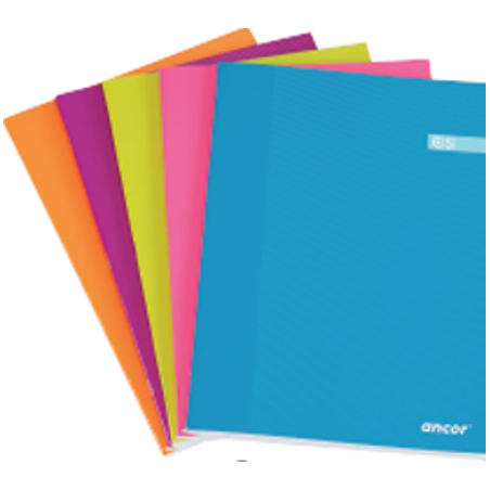 LIBRETA FOLIO CST 48 HOJAS 60G Q4X4 ST ANCOR 061291