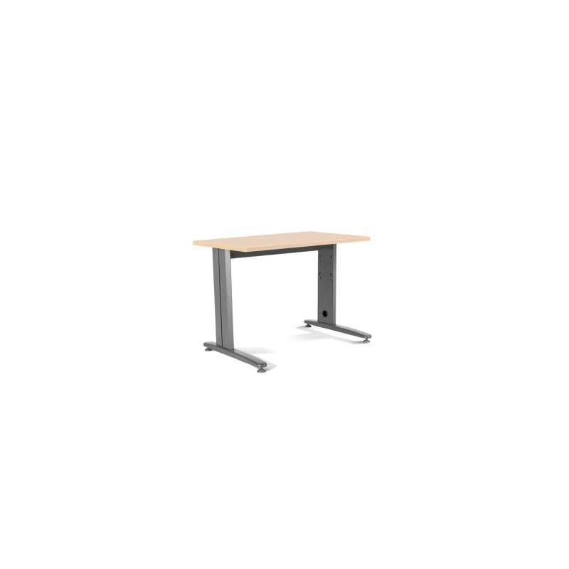 MESA DE OFICINA SERIE METAL 120X60 GRIS / HAYA ROCADA 2000AC01