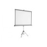 PANTALLA PROYECCION TRIPODE FORMATO 4:3 SUPERFICIE BLANCA DIMENSIONES 132,5X175 CM. NOBO 1902396